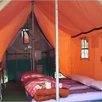 Manali Exotica Camping By Stayapart
